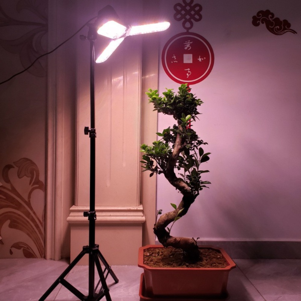 Stojak na żarówki 2M, gniazdo  – Photography Umbrella Light recenzja i cena